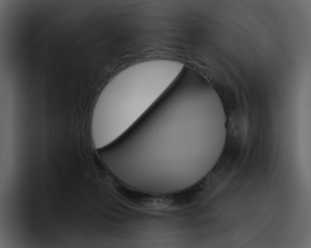 X0000097490223200802220847