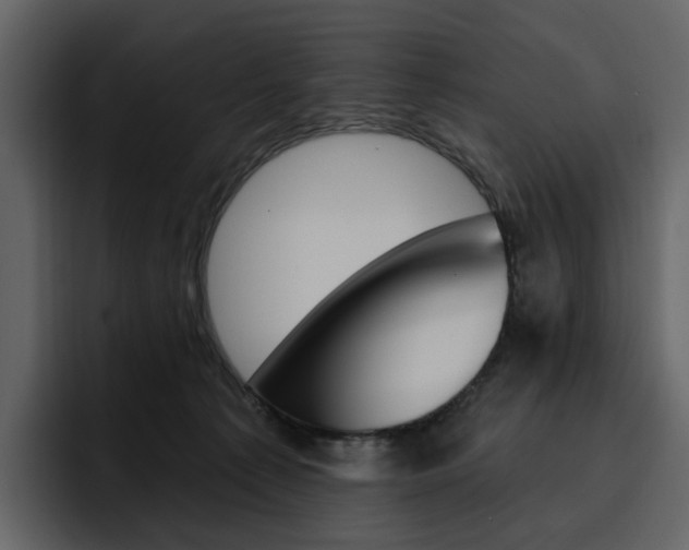 X0000097490225200802220847