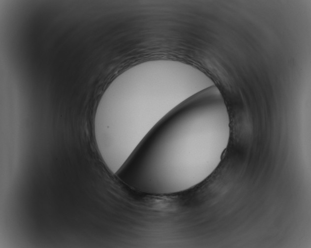 X0000097490229200802220847