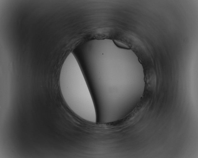 X0000097490231200802220847
