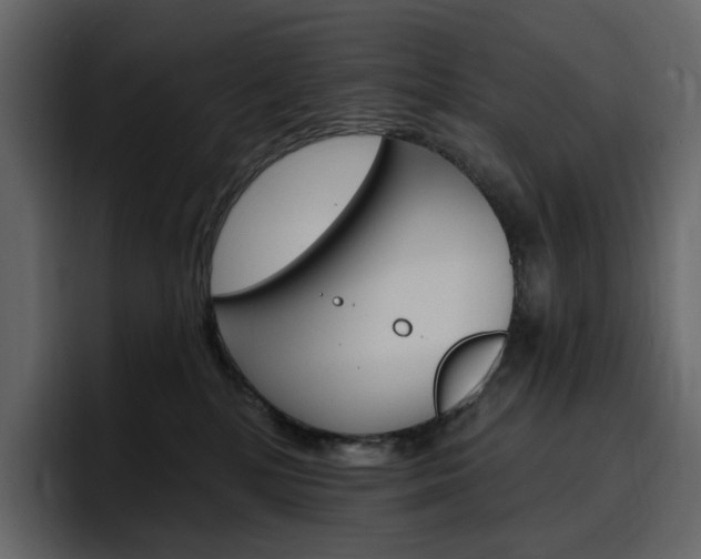 X0000097490232200802220847