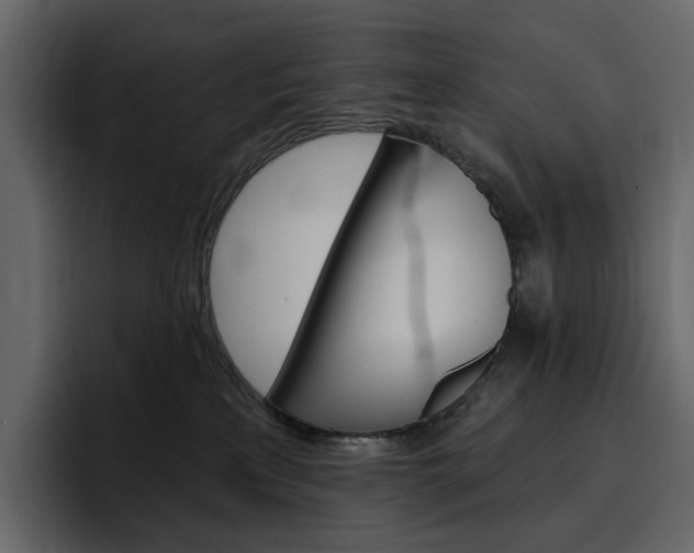 X0000097490233200802220847