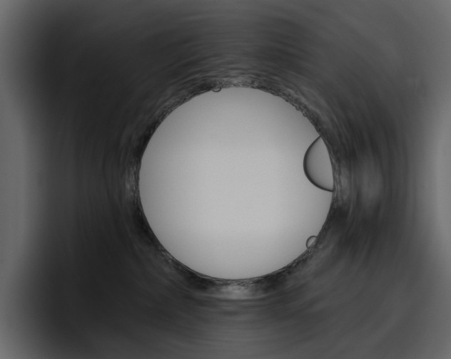 X0000097490236200802220847