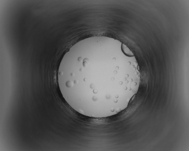 X0000097490238200802220847