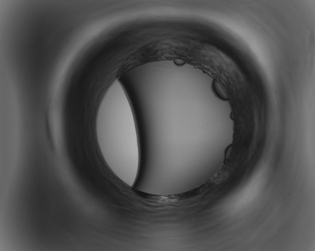 X0000097490239200802220847