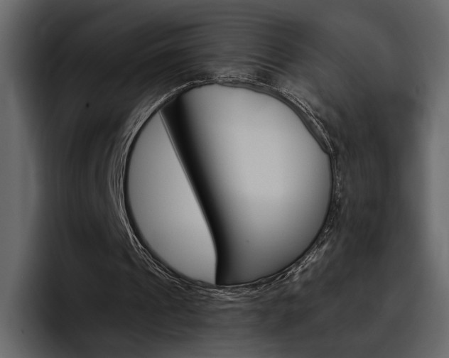 X0000097490241200802220846