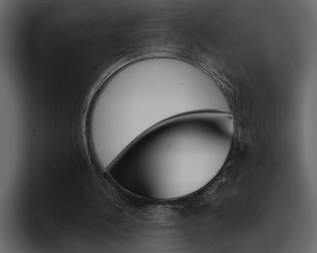 X0000097490244200802220846