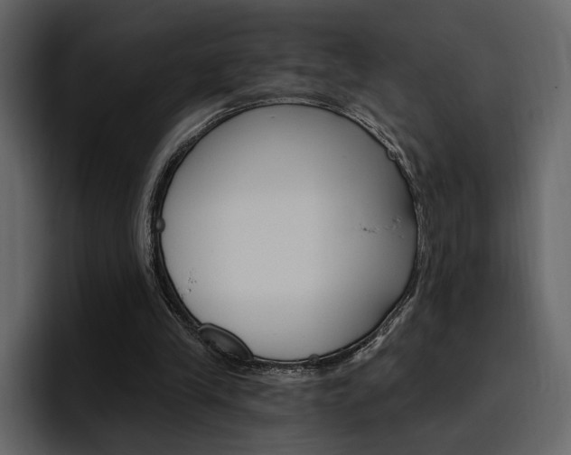 X0000097490245200802220846