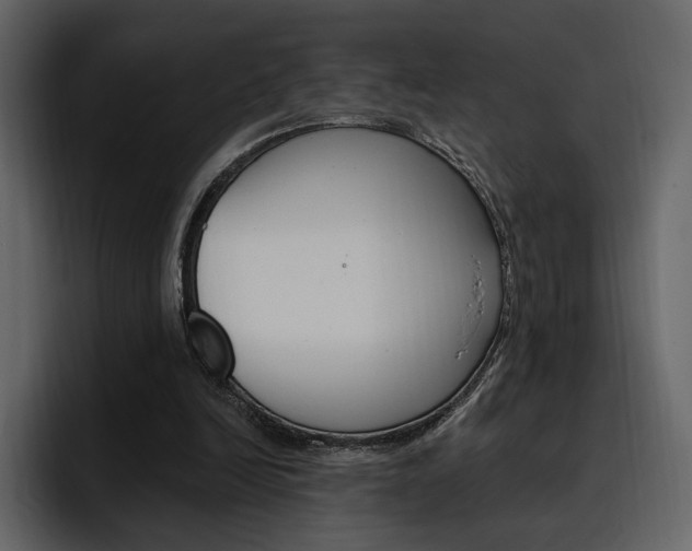 X0000097490246200802220846