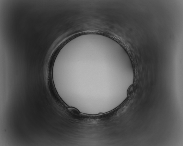 X0000097490247200802220846