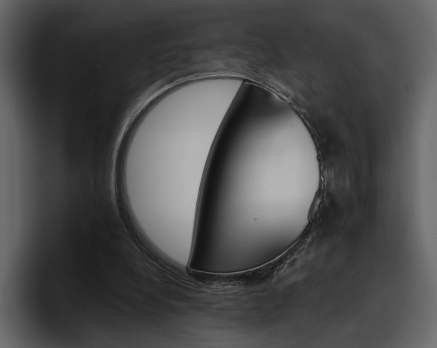 X0000097490248200802220846