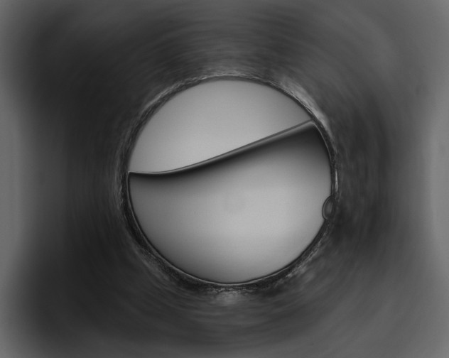 X0000097490249200802220846