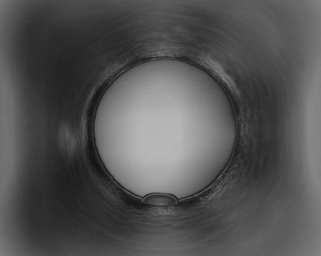 X0000097490250200802220846