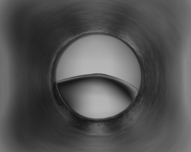 X0000097490252200802220846