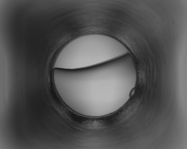 X0000097490254200802220846
