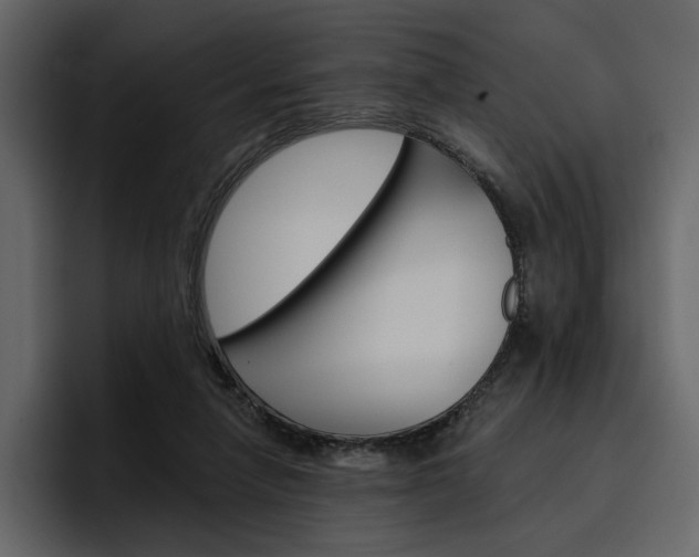 X0000097490258200802220846
