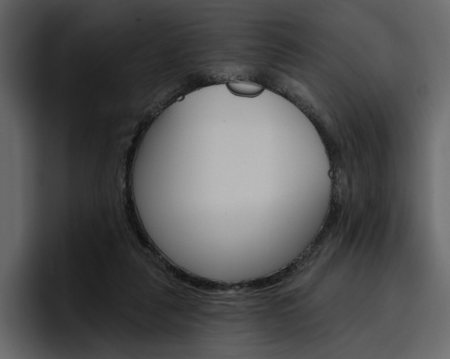 X0000097490259200802220846