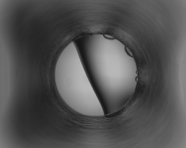 X0000097490260200802220846