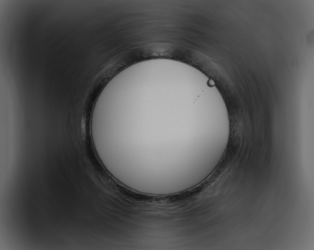 X0000097490262200802220846