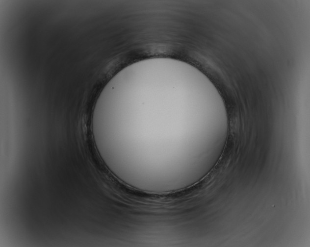 X0000097490264200802220846