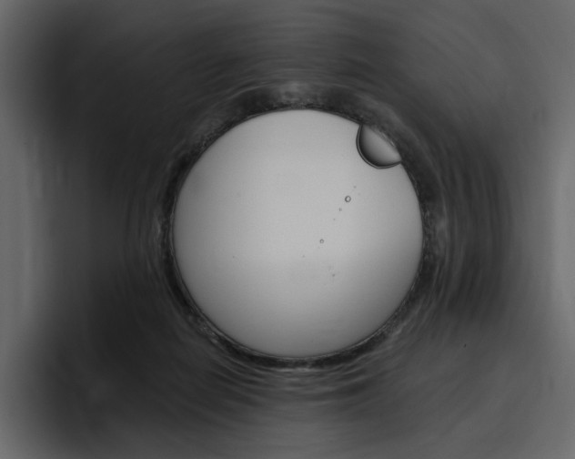 X0000097490266200802220846