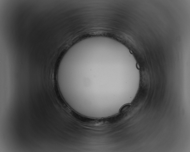 X0000097490267200802220846