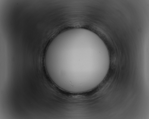 X0000097490268200802220846