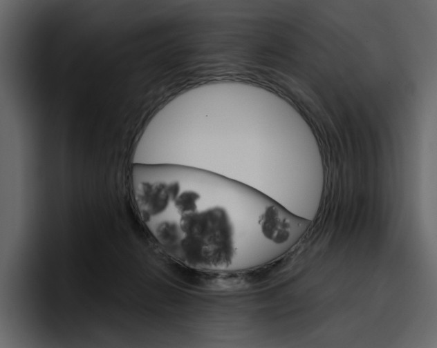 X0000097490270200802220846