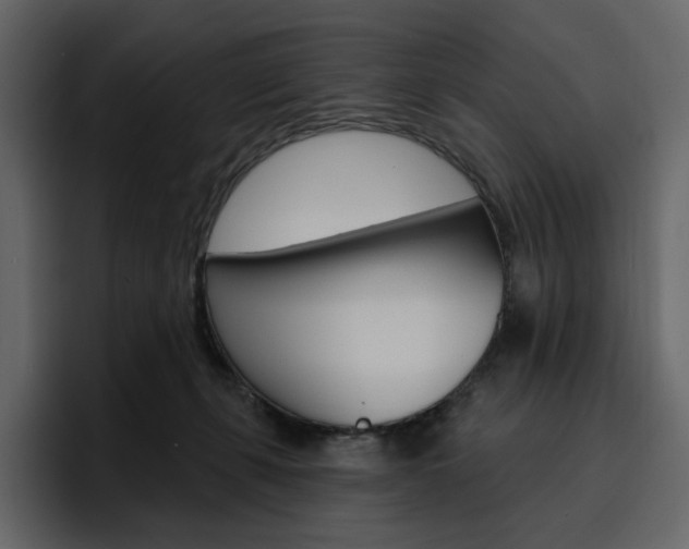 X0000097490271200802220846