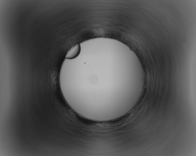 X0000097490275200802220846