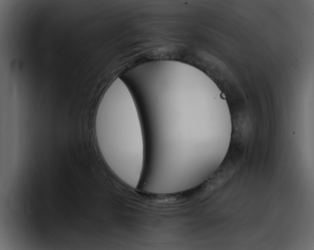 X0000097490278200802220846