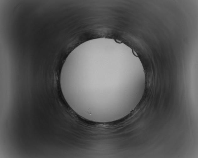 X0000097490279200802220846