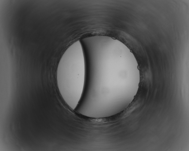 X0000097490281200802220846