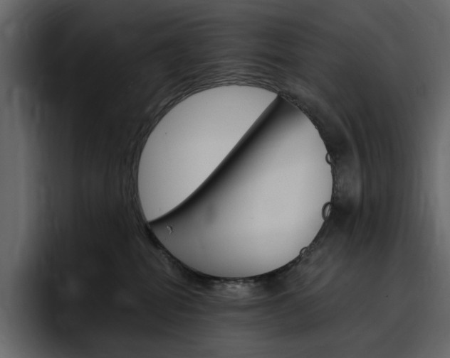 X0000097490282200802220846