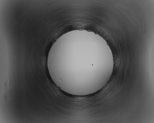 X0000097490283200802220846