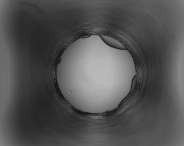 X0000097490284200802220846