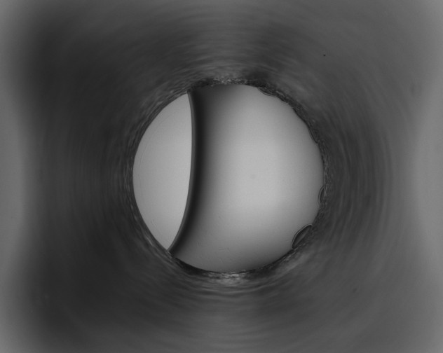X0000097490288200802220847