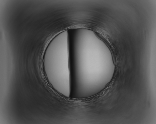 X0000097490289200802220846