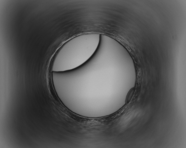 X0000097490290200802220846