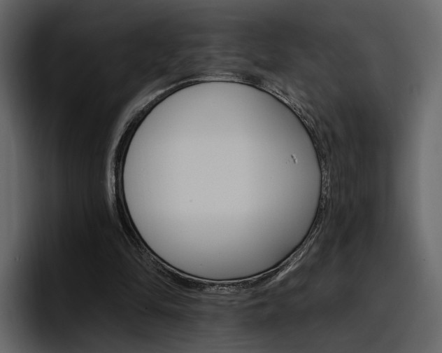 X0000097490294200802220846