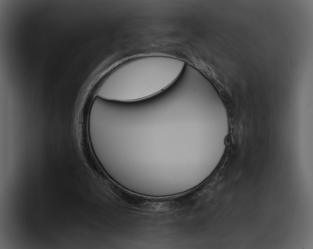 X0000097490295200802220846