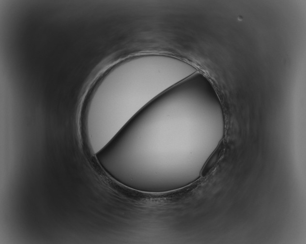 X0000097490296200802220846