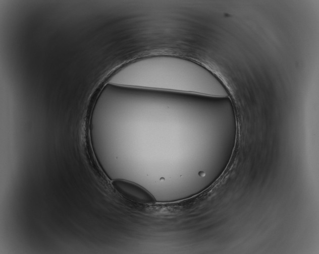 X0000097490297200802220846