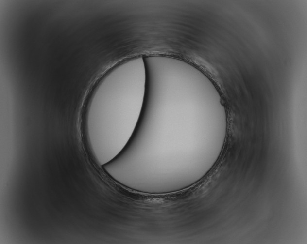 X0000097490298200802220846