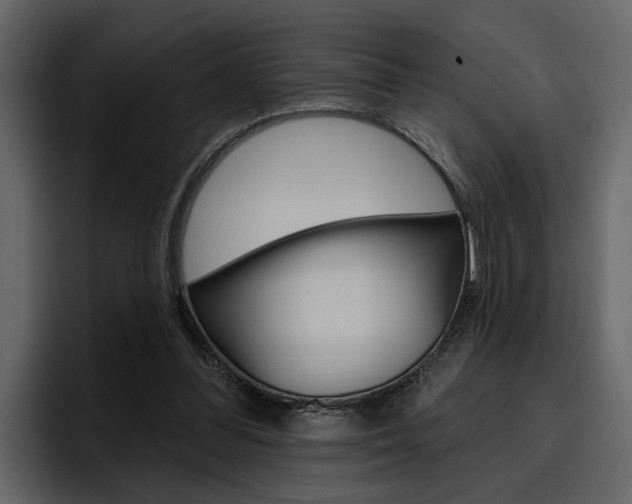 X0000097490300200802220846