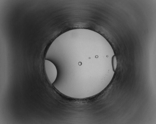 X0000097490305200802220846