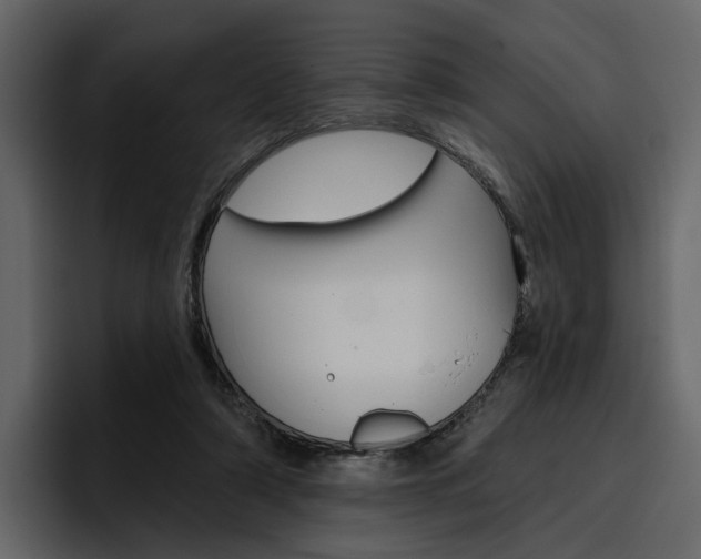 X0000097490306200802220846