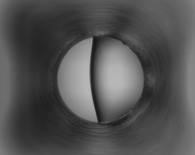X0000097490308200802220846