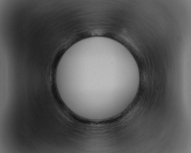 X0000097490311200802220846