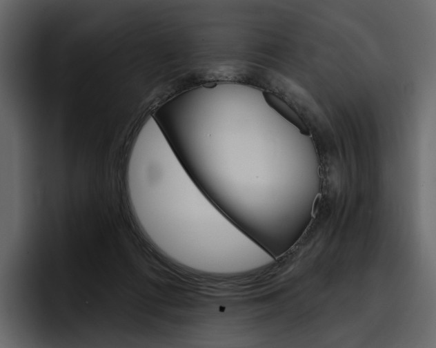 X0000097490312200802220846